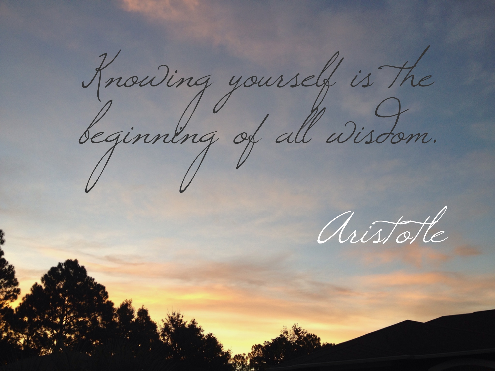 Aristotle-quote.3